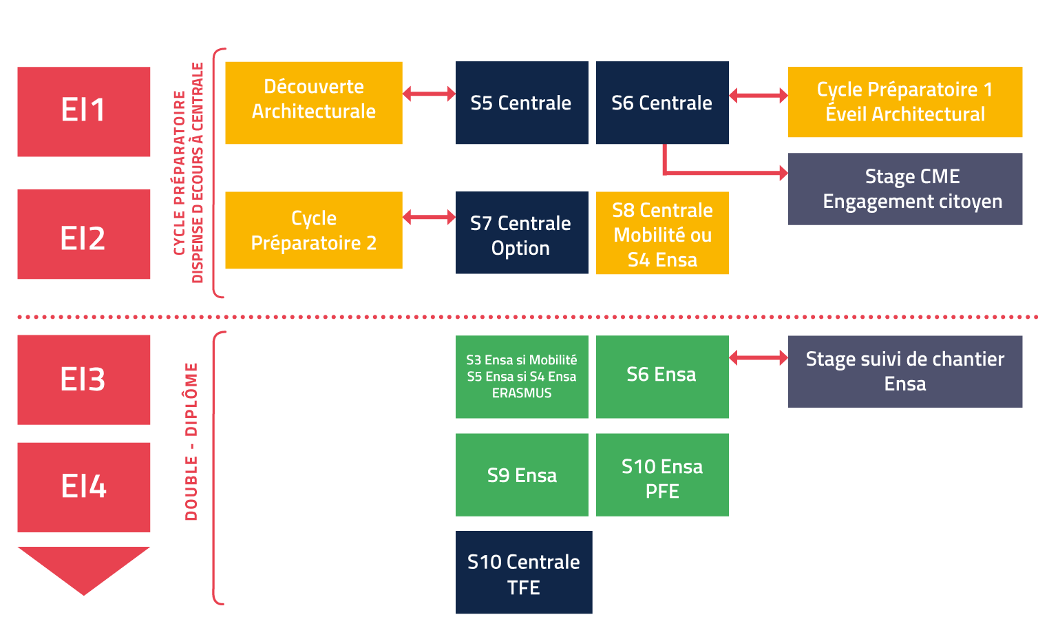 Schéma du cursus ingénieur architecte